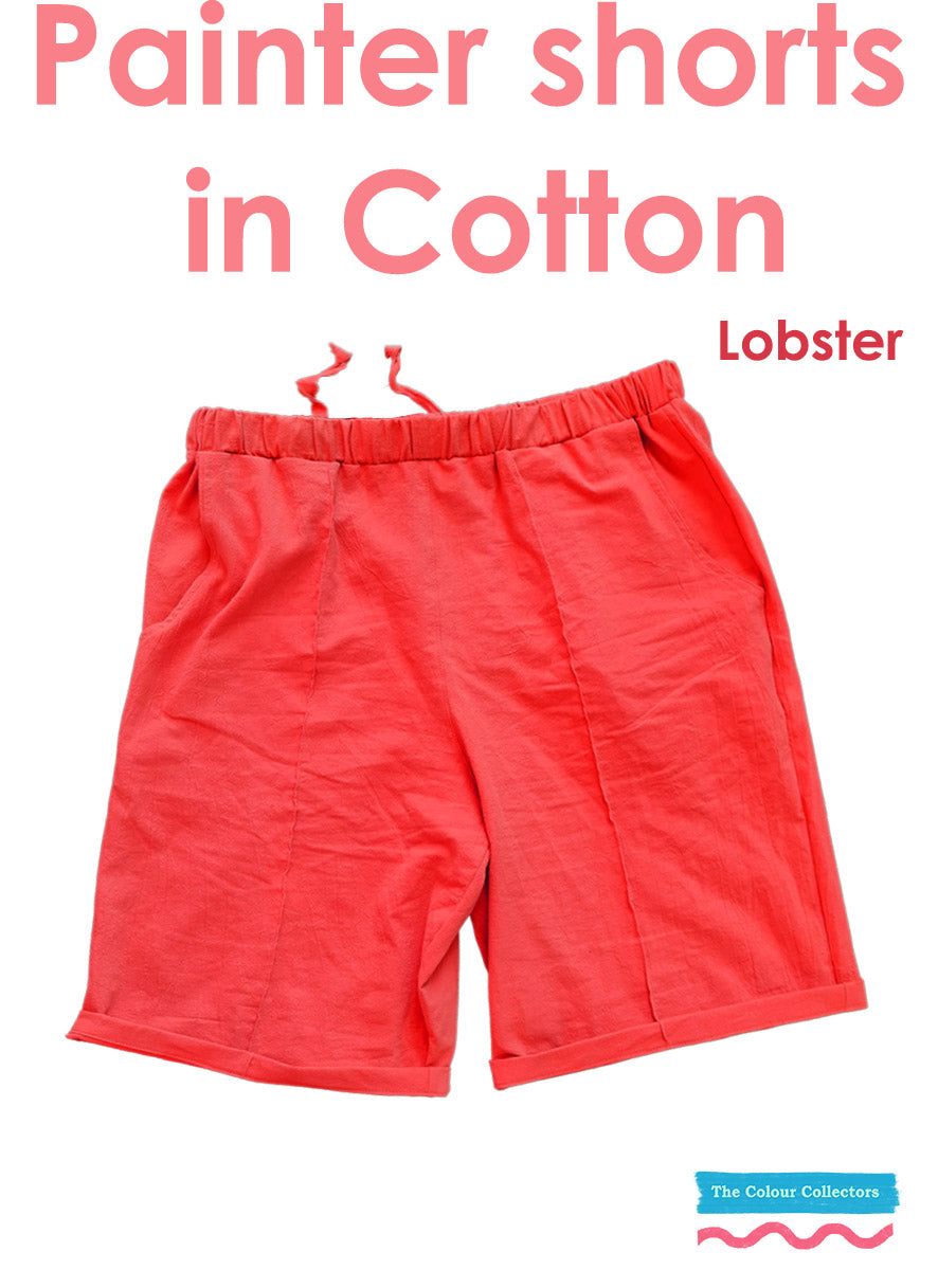 The Painter Pants shorts (Cotton)