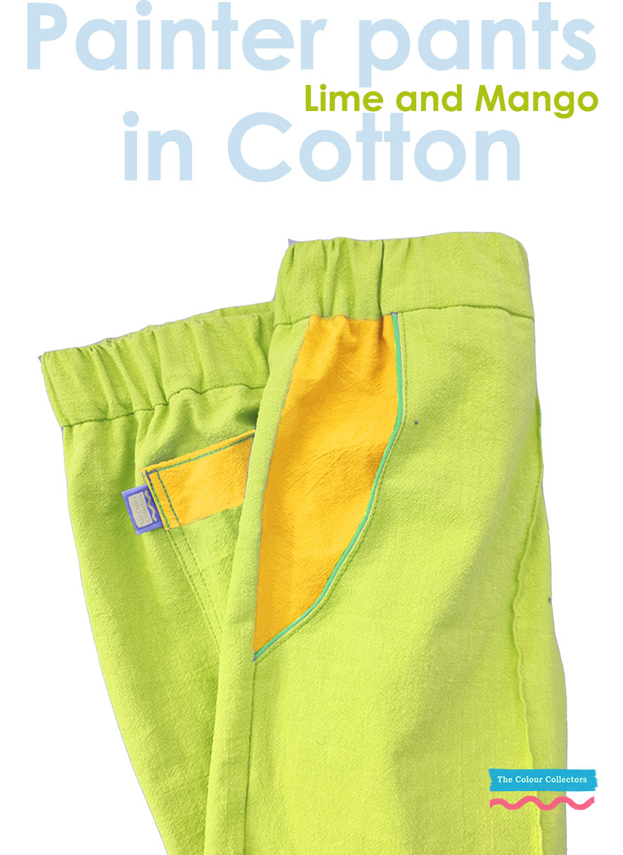The Painter Pants shorts (Cotton)